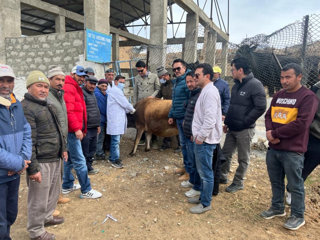 Animal Husbandry Dept Kargil begins FMD vaccination program Animal Husbandry Dept Kargil begins FMD vaccination program