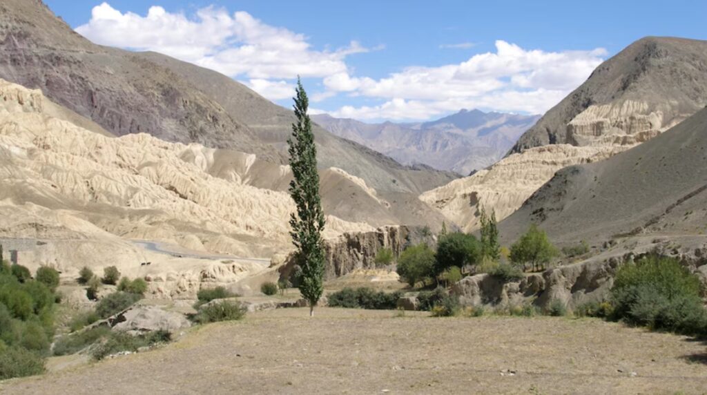 NBWL approves five roads in Ladakh, 4 along LAC NBWL approves five roads in Ladakh, 4 along LAC