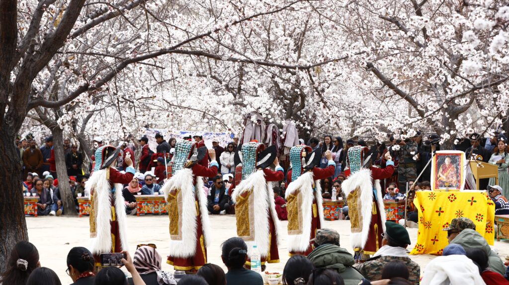 Apricot Blossom Festival kick starts at Skyurbuchan village Apricot Blossom Festival kick starts at Skyurbuchan village