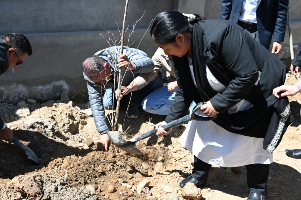 DLSA Kargil organizes plantation drive