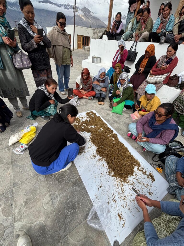 DHEW Leh conducts 5-Day Mushroom Cultivation Training in Nubra