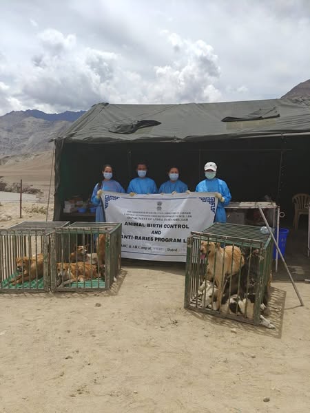 Animal Husbandry Dept. Conducts Successful ABC & Anti-Rabies Camp in Nimo Army Areas