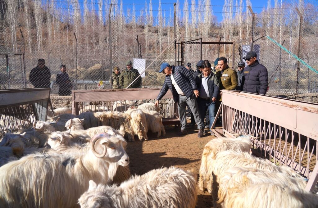 “Ladakh Pashmina Is a Cultural Treasure, Not Just a Product”: LG Kavinder
